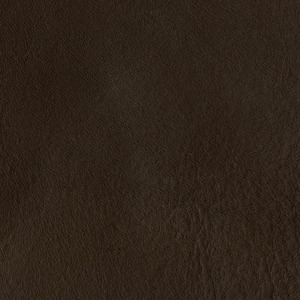 Fiore Testa di Moro C3T4