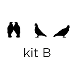 Kit B Tortorine