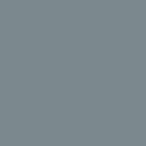 Grigio Vaio Ral 7000