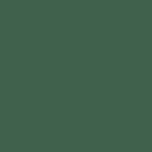 Verde Scuro S6020-G10Y